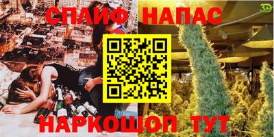 прущие грибы Новозыбков