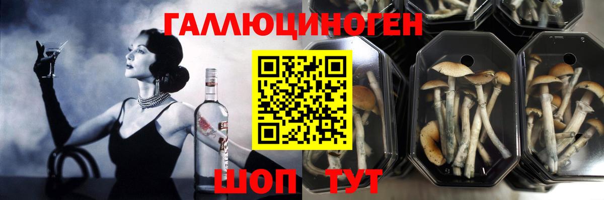 Оренбург  Псилоцибиновые грибы Psilocybe  Вход с VPN  Галлюциногенные грибы Magic Shrooms 